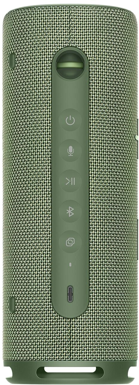Купить HUAWEI Sound Joy (55028241) Green (РСТ)