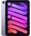 Купить Apple iPad Mini (2021) 256Gb Wi-Fi Purple (LL)