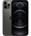 Купить Apple iPhone 12 Pro Max 256Gb Grey (A2342, LL)