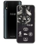  Black Fox B8m Black ()